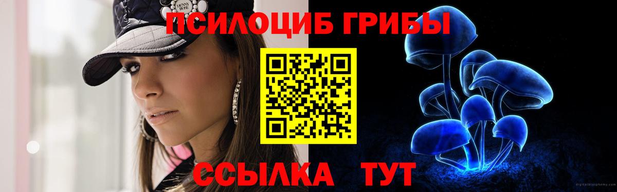 Псилоцибиновые грибы мухоморы Брянск